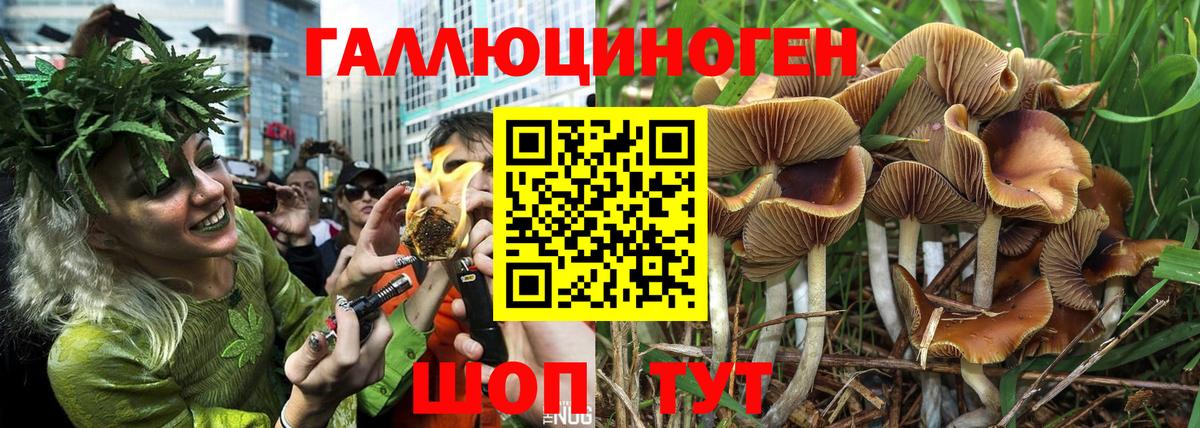 наркошоп  Вход с VPN  Подольск  Галлюциногенные грибы мицелий 